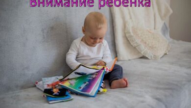 Photo of Лучшие игрушки для развития внимания и концентрации у детей