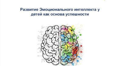 Photo of Топ-5 игрушек для развития интеллекта у детей