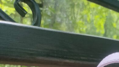 Photo of Как выбрать правильную детскую рюкзачок для школы